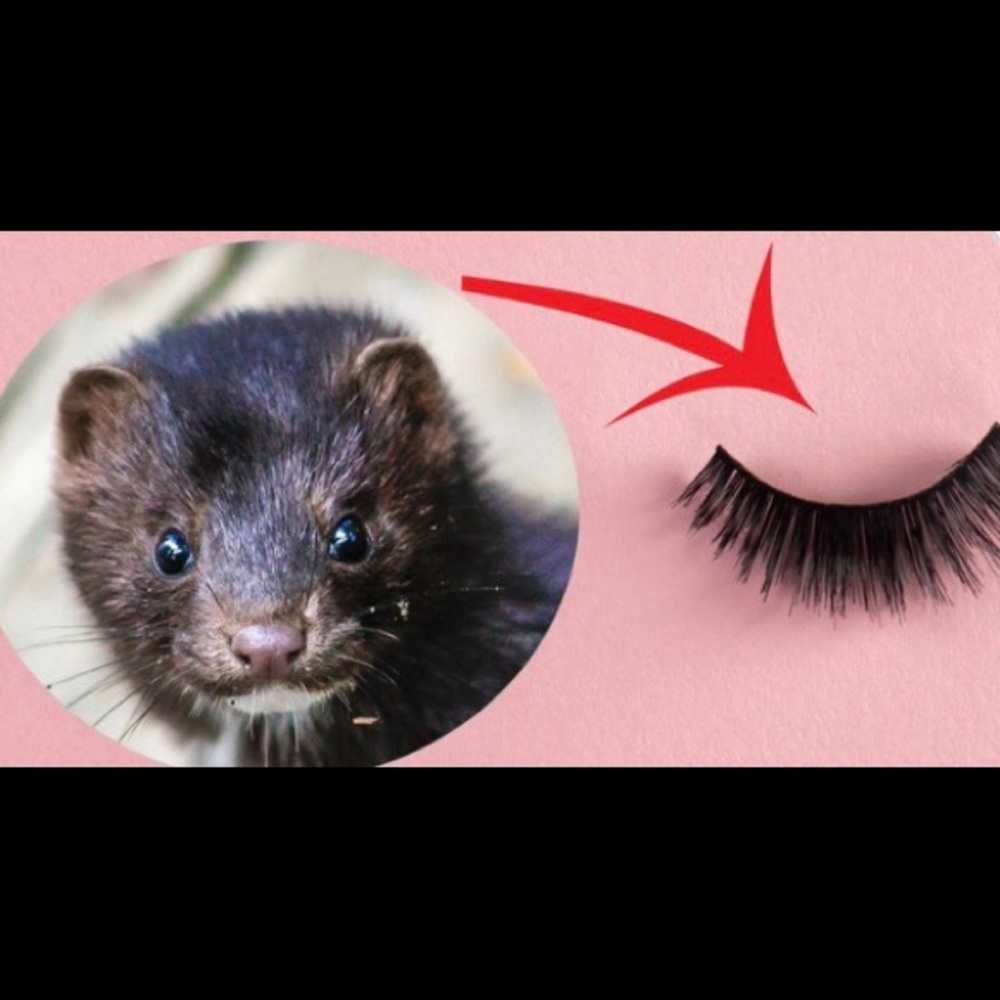 SAY NO TO MINK 👁️ EYELASHES 🙅‍♂️🙅‍♀️🙅
‼️NOT FOR SALE‼️ - Picture 2 of 16